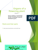 1.2-Organs of a Flowering Plant