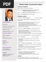 CV Miguel Collaguazo 2023