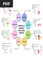 Colorful Modern Clean Mind Map Graph (1)