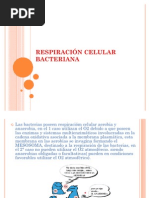 Respiración Celular Bacteriana