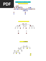 Genetique Exos Application Arbres Genealogiques