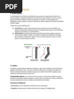 TEMA 5