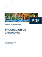 EDA Manual Produccion Zanahoria 12 07