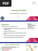 Lecture (4) Anatomy of the spine 