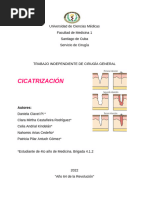 Cicatrizacion Trabajo Indep