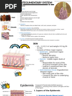 2023-integumentary-system