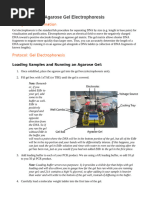 Handouts-3-Agarose Gel Electrophoresis