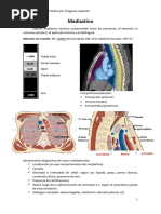 1- Mediastino - Elisea Acosta