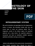 The Histology of the Skin