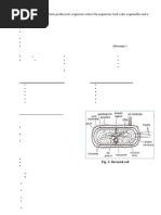 Ultra Structure of Bacteria