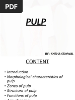 Pulp by Sneha Semwal