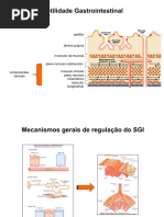 Motilidade do TGI