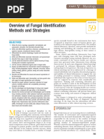 59. Overview of Fungal Identification Methods and Strategies