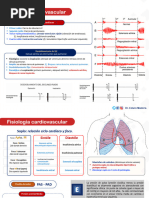 Fisiologia Cardiovascular