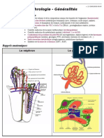 Nephrologie