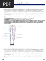 PatologÃ­as Vasculares Frecuente