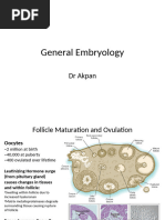 6 Fertilization To Gastrulation