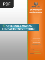 17-Anterior & Medial Compartments of Thigh