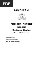 Project - Business - Six Pages-1