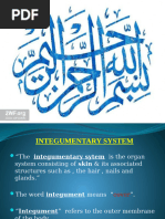 1. Intro of Integumentary System