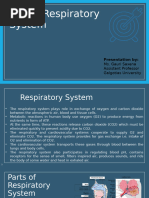 Unit-1 Respiratory System