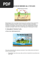 BIOGEOCHEMICAL CYCLES