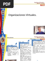 Organizacion Virtual