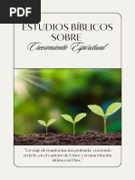 CRECIMIENTO ESPIRITUAL (2XSAJKCSD4165S)