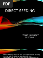 Direct seeding presentation