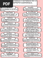 Infografia pasos para una infografia kawaii rosado_20240112_105733_0000