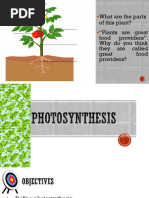 7.1. Photosynthesis