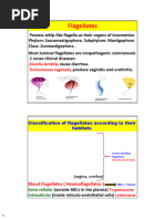 Giardia lamblia