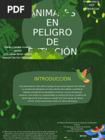 Presentación Juego Infantil Jungla Ilustrativo Verde.pptx