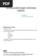 Integumentary System .Pptx