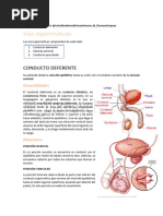 latarjet_capitulo_122