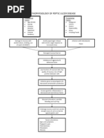 Peptic Ulcer Disease Patho