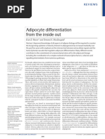 Adipocyte differentiation from the inside out