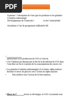 biochimie du pain