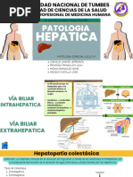 Patologia Hepatica 4