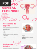 Aparato Genital Femenino (1)