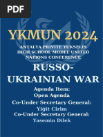 Russian ukranian war