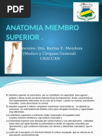 ANATOMIA MIEMBRO SUPERIO