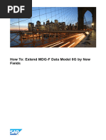 Data model by New fields in SAP MDG by Michael Theis.pdf