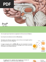 Anatomia 3 - Sistema Endocrino