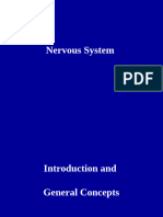 Nervous System.ppt 2