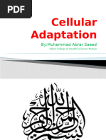 2..Cellular Adaptation