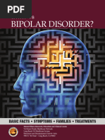 Bipolar Disorder 