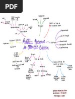 Mapa Mental Atenção Básica 