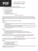 INGENIERIA EN SOFTWARE 1 resumen para final