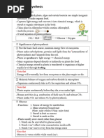 Bio Ch.5 Photosynthesis